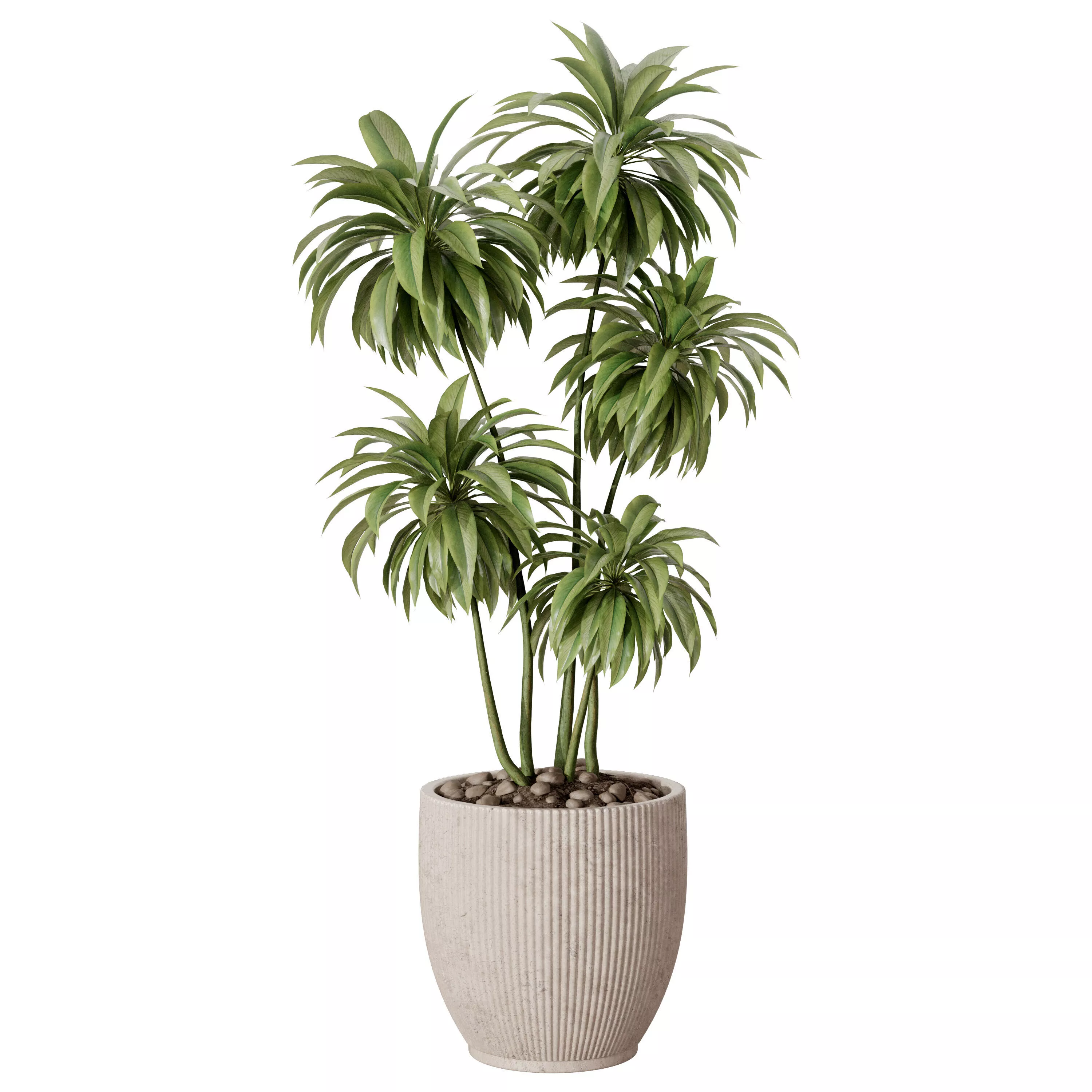 Tropical Indoor Plant in Ribbed Ceramic Pot 3D model