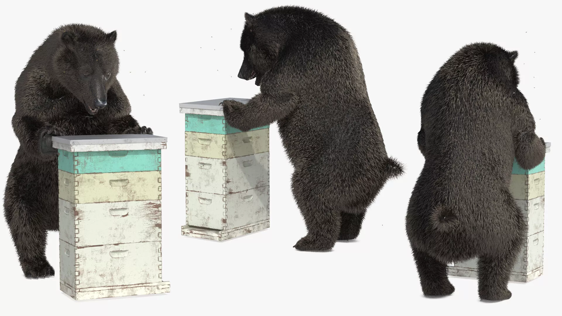 Dark Brown Bear Raiding Beehive Fur 3D model