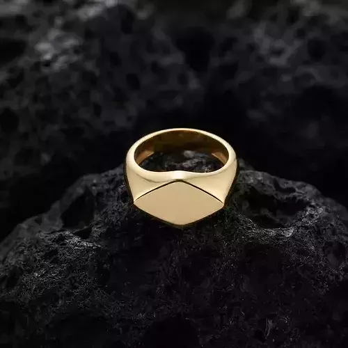 Jewelry Signet Ring v29 L Size