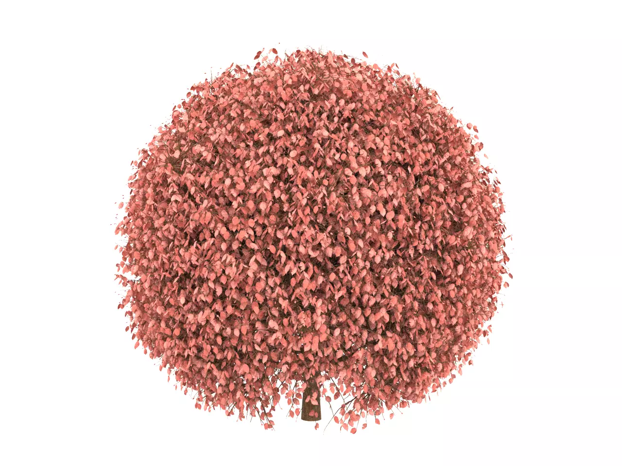 NMA Bush 001-3 Low-poly 3D model