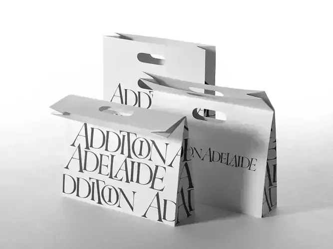 Addition Adelaide Shopping Bag 3D model