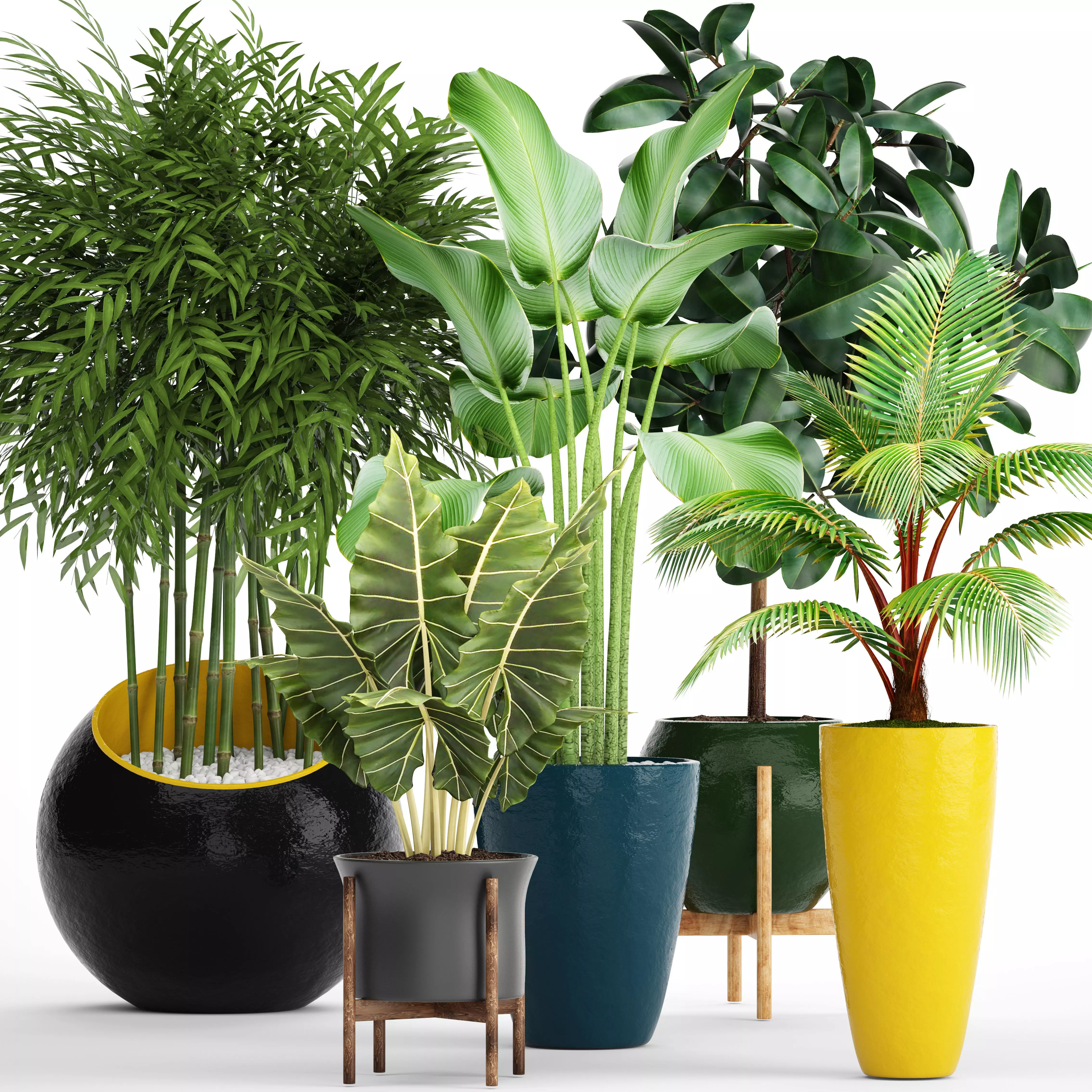 Collection plants philodendron planter 3D model