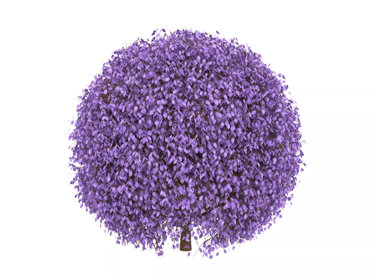 NMA Bush 001-4 Low-poly 3D model