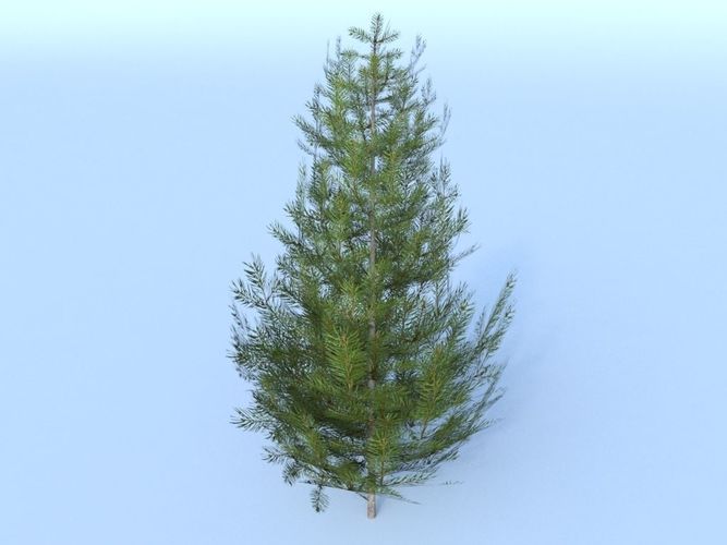 Tree pine low-poly 3D model Low-poly 3D model