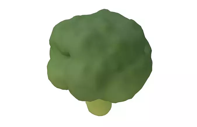 Cartoon Broccoli v2 002 Low-poly 3D model 4