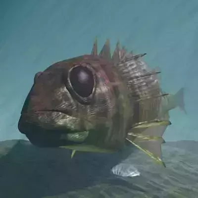 Rascasse - Lion fish