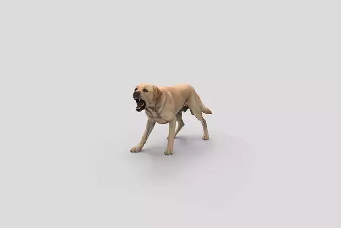 Realistic Labrador Barking Dog 3D Model