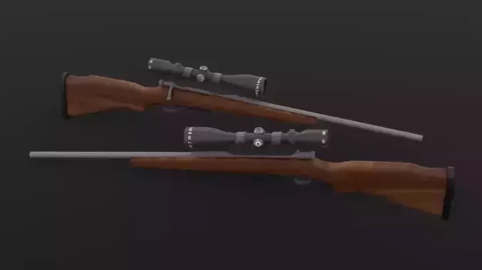 Hunting Rifle