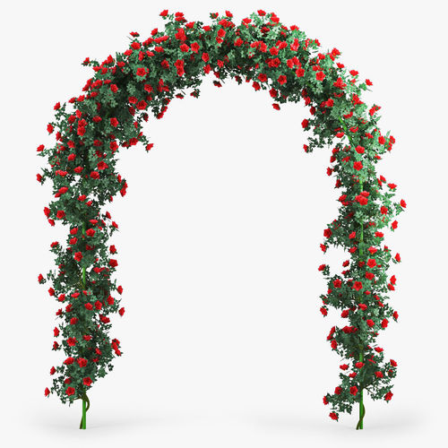 Rose Arch 3D model