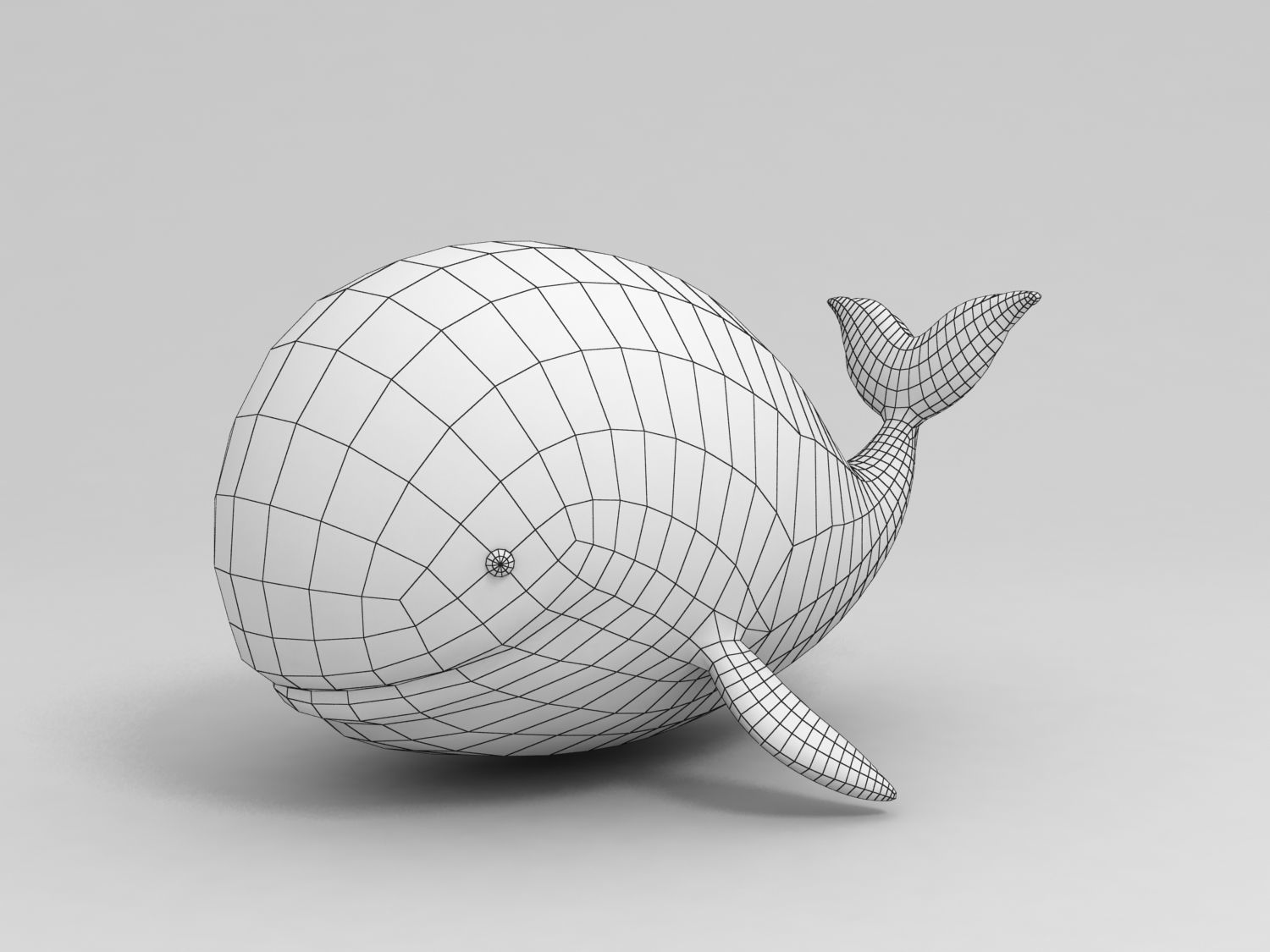 Cartoon Whale Low-poly 3D model_4