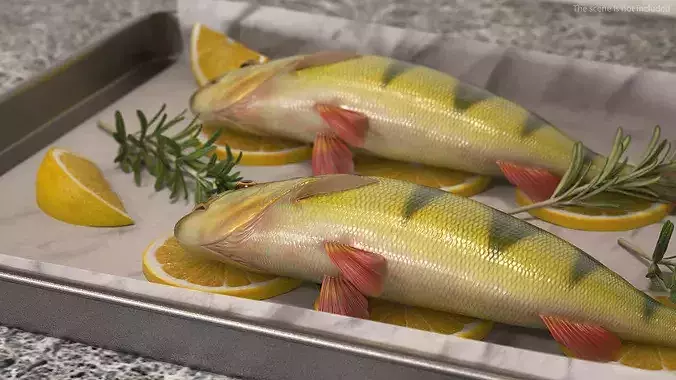 Fresh Yellow Perch with Lemon and Rosemary on Baking Tray 3D model 4