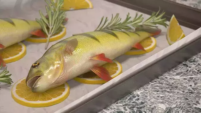 Fresh Yellow Perch with Lemon and Rosemary on Baking Tray 3D model 5