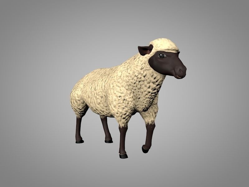 Sheep or Ram Low-poly 3D model_6
