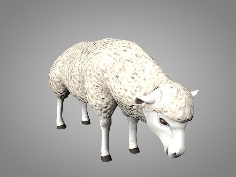 Sheep or Ram Low-poly 3D model_1