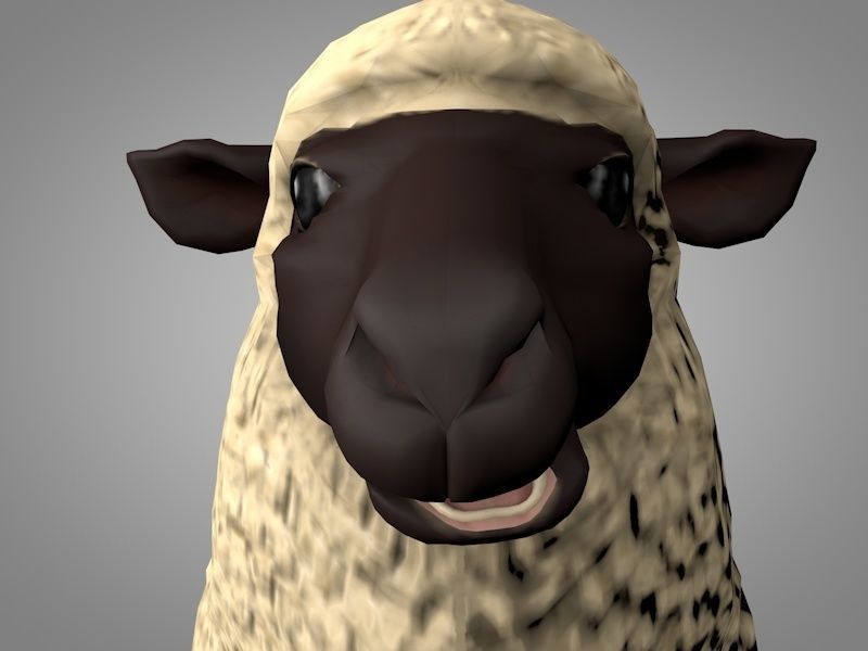 Sheep or Ram Low-poly 3D model_3
