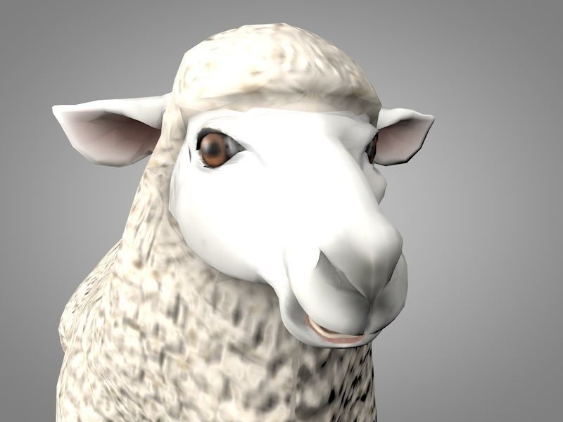 Sheep or Ram Low-poly 3D model_2