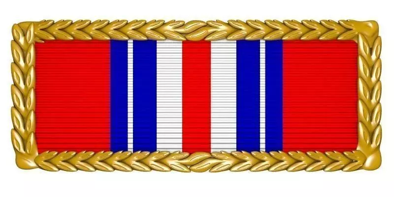 Valorous Unit Award 3D model