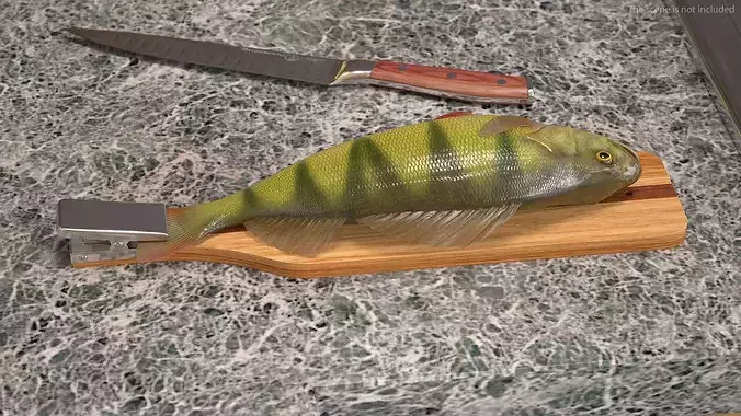 Fish Scaling Board with Yellow Perch 3D model 4