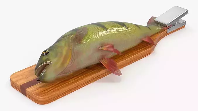 Fish Scaling Board with Yellow Perch 3D model