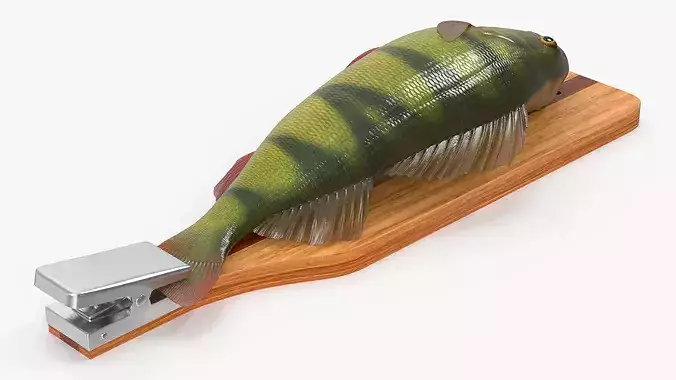 Fish Scaling Board with Yellow Perch 3D model 6