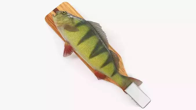Fish Scaling Board with Yellow Perch 3D model 2