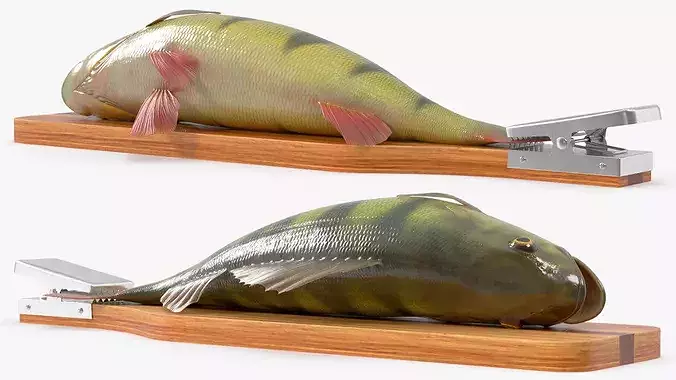 Fish Scaling Board with Yellow Perch 3D model 7