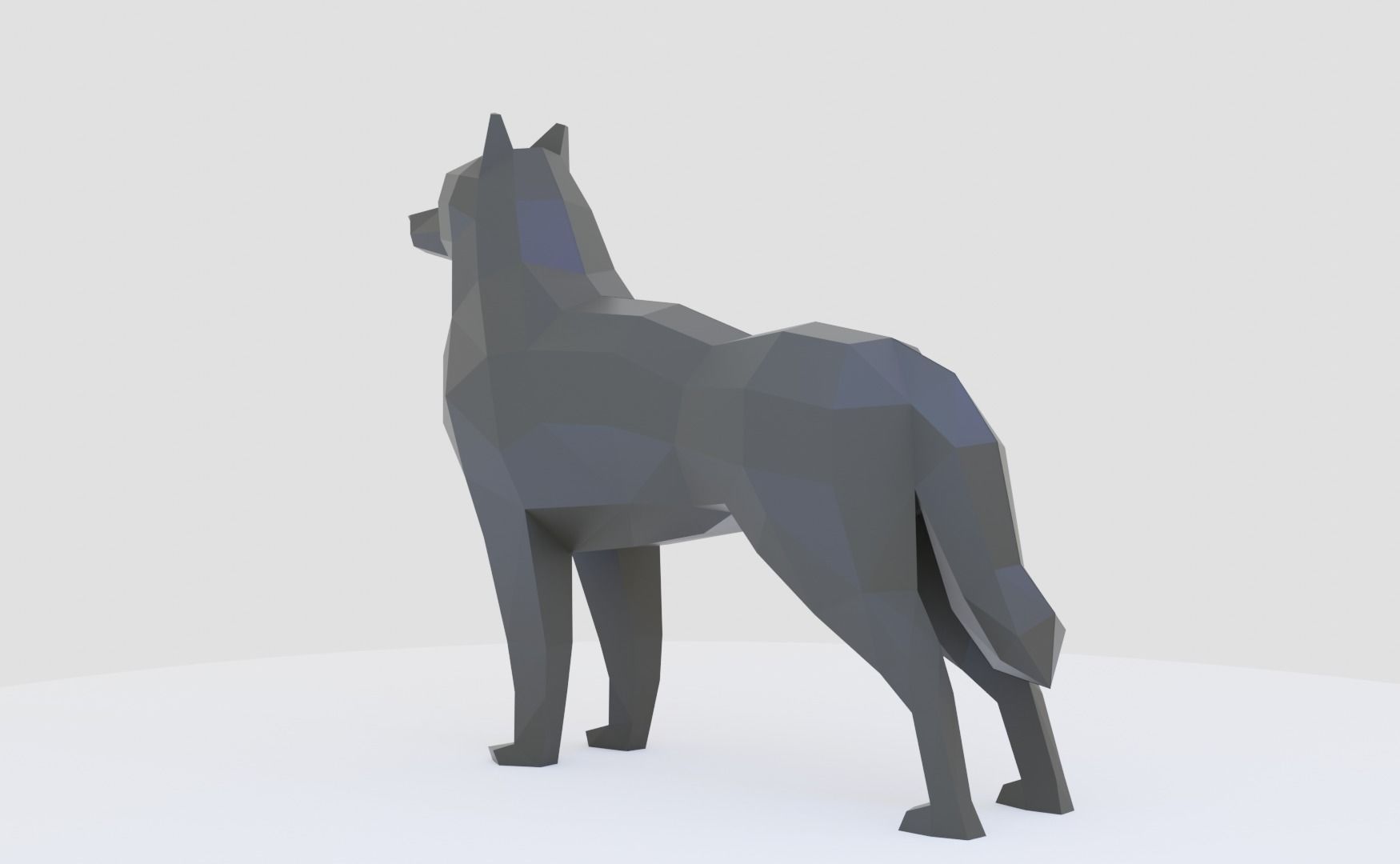 Husky dog lowpoly Low-poly 3D model_5