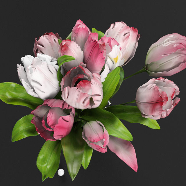 Peonies in vase  3D model_1