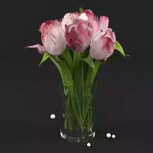 Peonies in vase 
