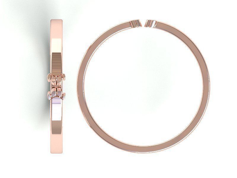 Ringmodel121 -Paw Ring 3D print model_2