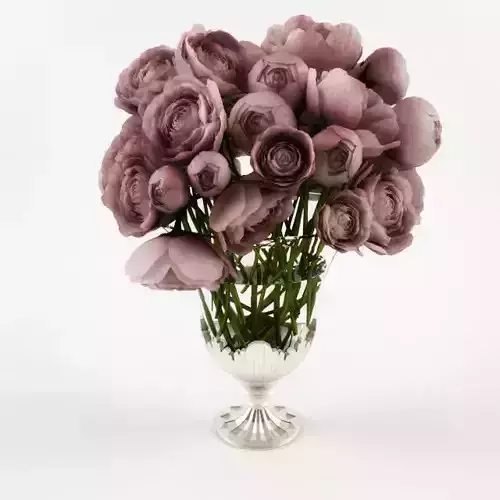 Beautiful peonies  in classic  glass vase 