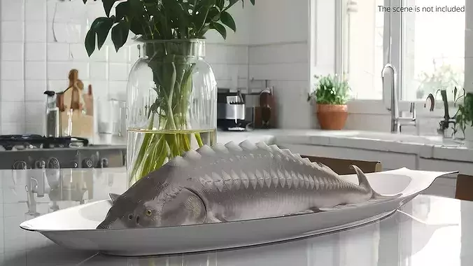 Whole Sturgeon on Serving Plate 3D model 2