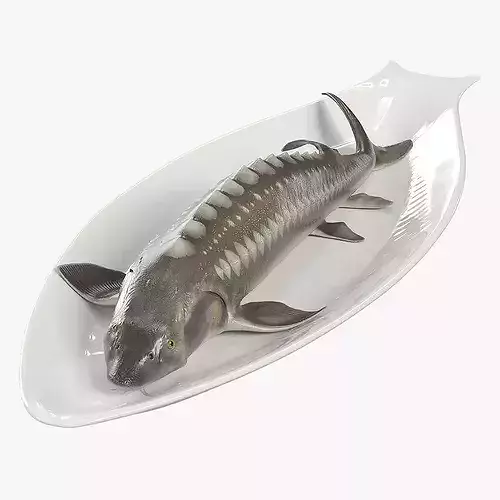 Whole Sturgeon on Serving Plate 3D model 4