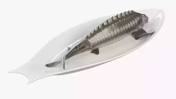Whole Sturgeon on Serving Plate 3D model 3