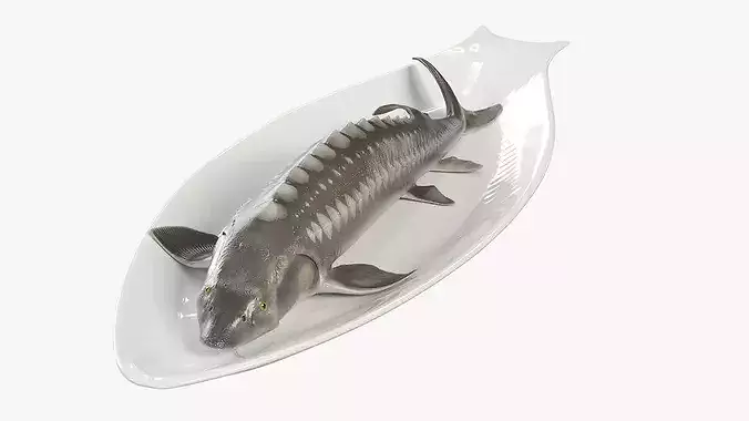 Whole Sturgeon on Serving Plate 3D model
