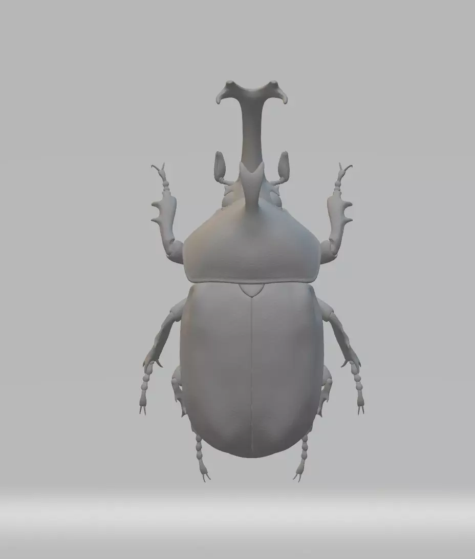 Beetle 3d model 3D print model