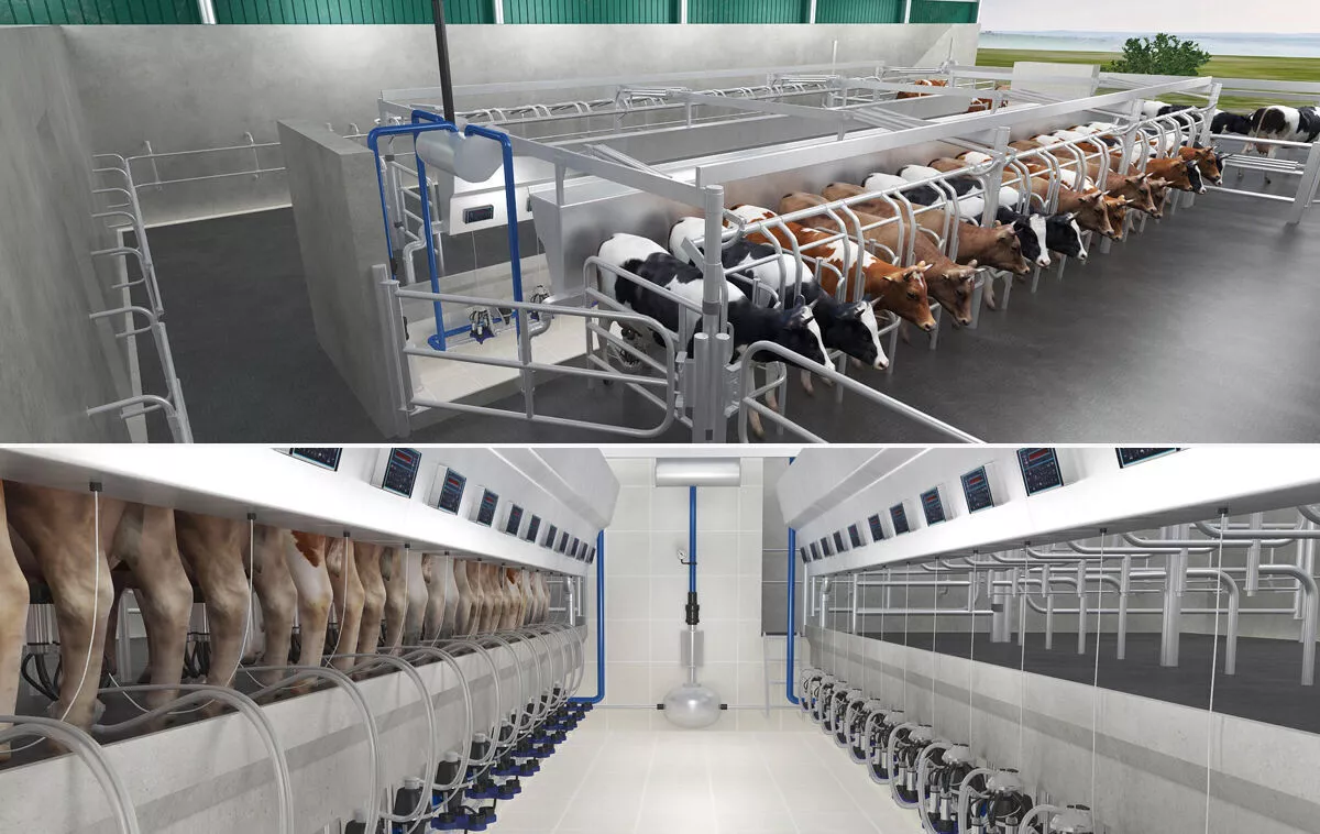 Realistic Parallel Milking Parlor 3D model