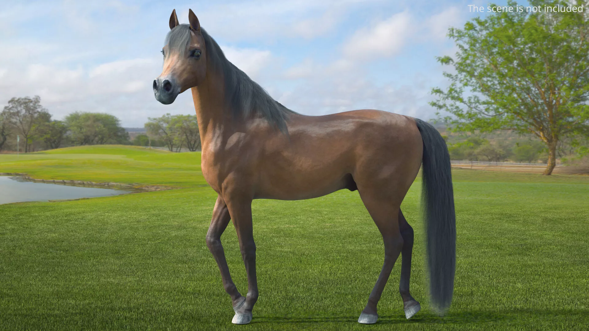 Standing Horse On Grass Fur 3D model