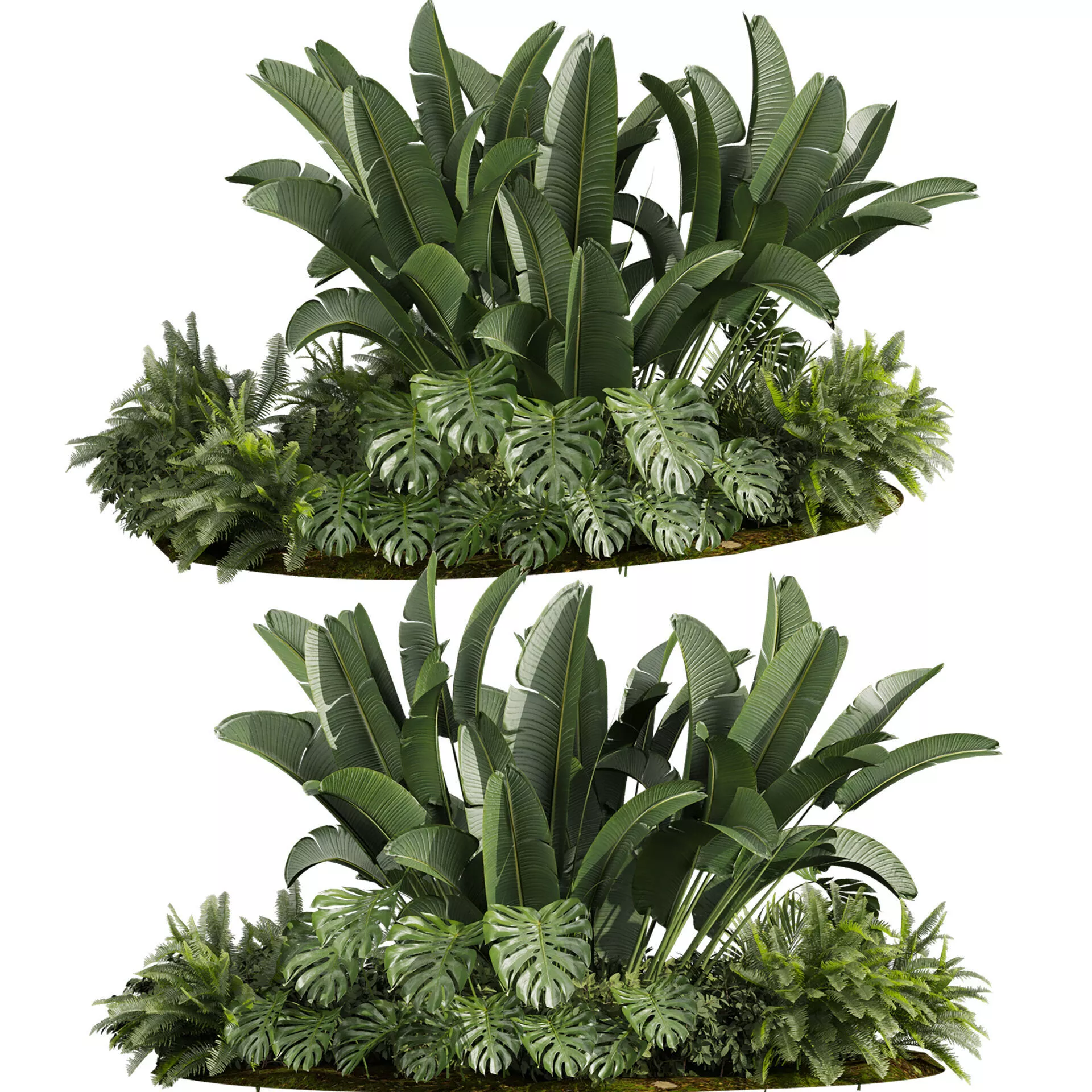 plant vol 959 - garden - banana - monstera - backyard 3D model