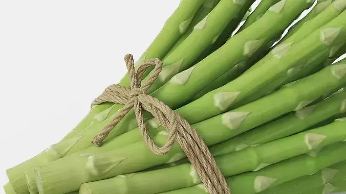 Bundle of Fresh Green Asparagus Wrapped in Jute Fur 3D model 5