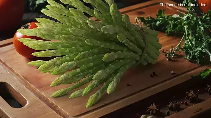 Bundle of Fresh Green Asparagus Wrapped in Jute Fur 3D model 2