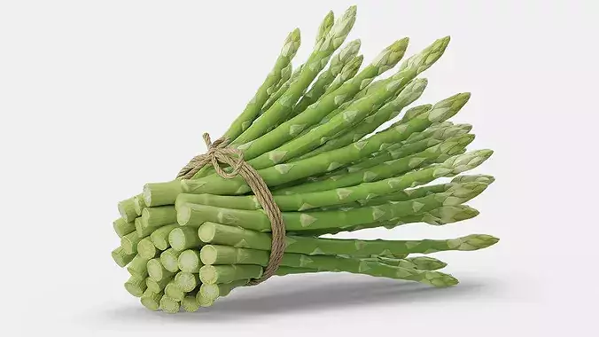 Bundle of Fresh Green Asparagus Wrapped in Jute Fur 3D model 4