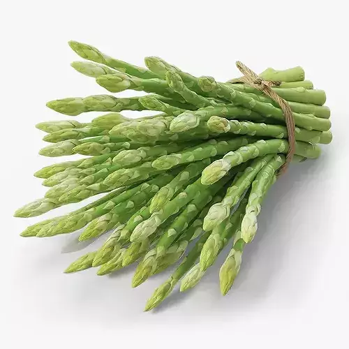 Bundle of Fresh Green Asparagus Wrapped in Jute Fur 3D model 7