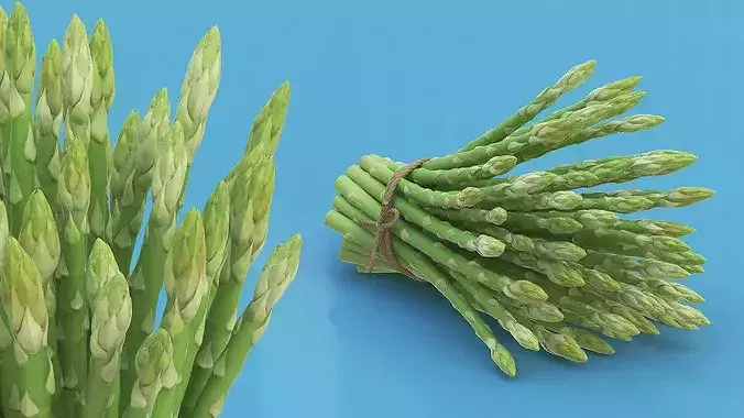 Bundle of Fresh Green Asparagus Wrapped in Jute Fur 3D model 3