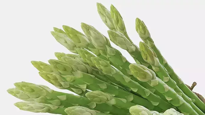 Bundle of Fresh Green Asparagus Wrapped in Jute Fur 3D model 6