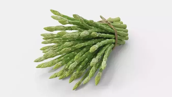 Bundle of Fresh Green Asparagus Wrapped in Jute Fur 3D model