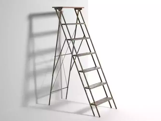 Vintage Step Ladder