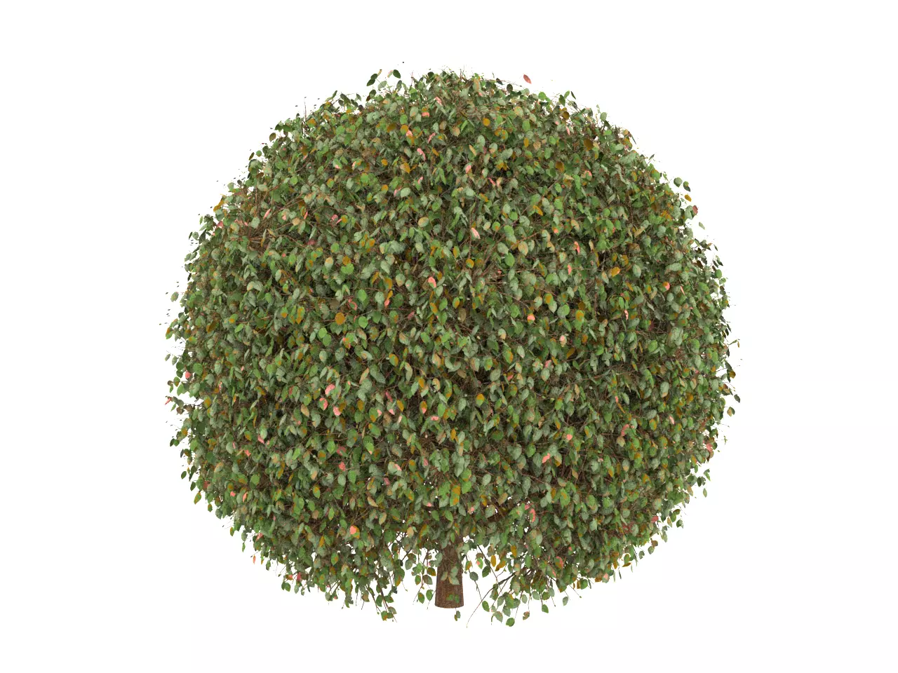 NMA Bush 001-5 Low-poly 3D model
