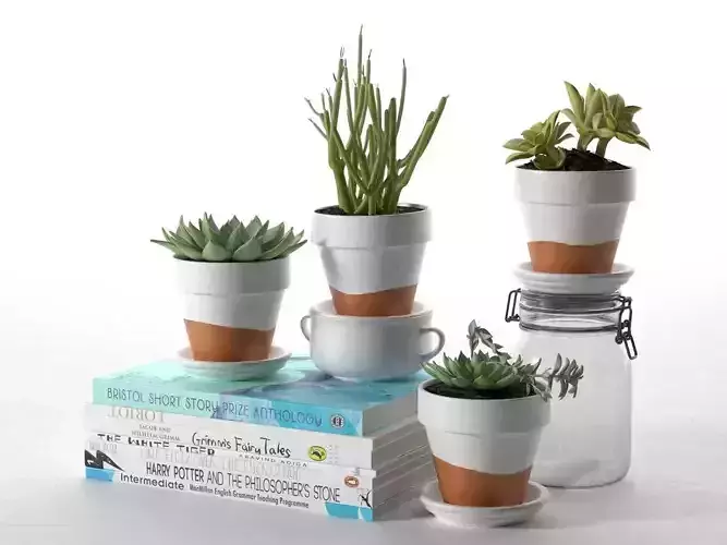 Pots with Plants Stack of Books and Bottle