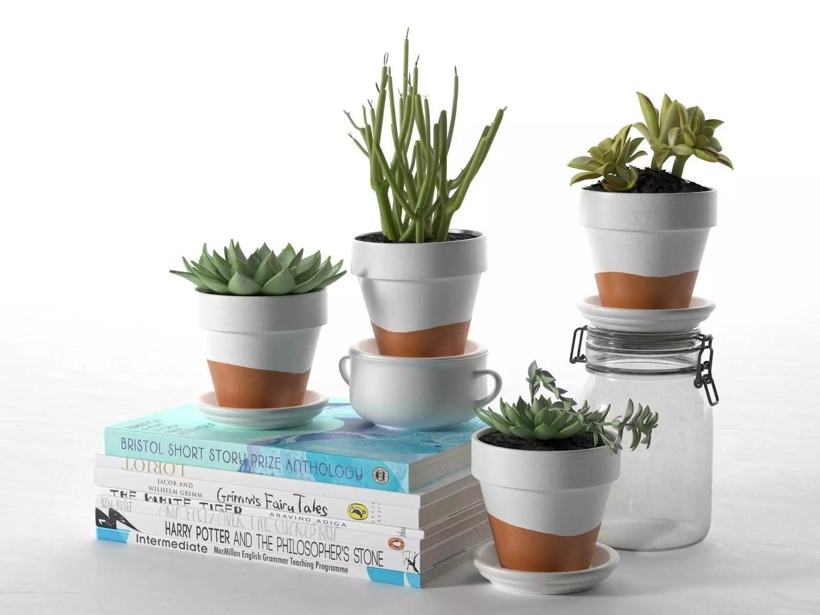 Pots with Plants Stack of Books and Bottle 3D model_0